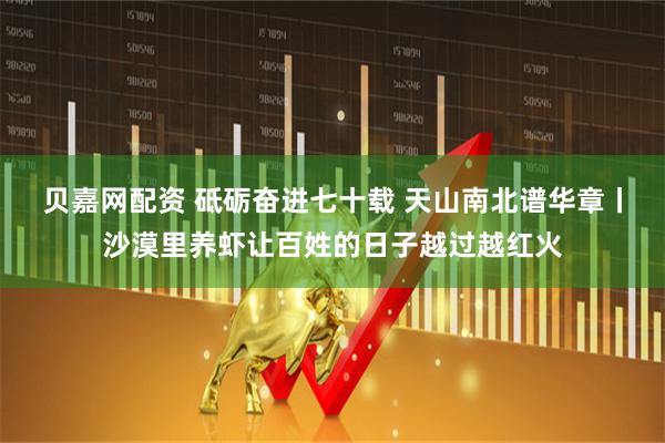 贝嘉网配资 砥砺奋进七十载 天山南北谱华章丨沙漠里养虾让百姓的日子越过越红火