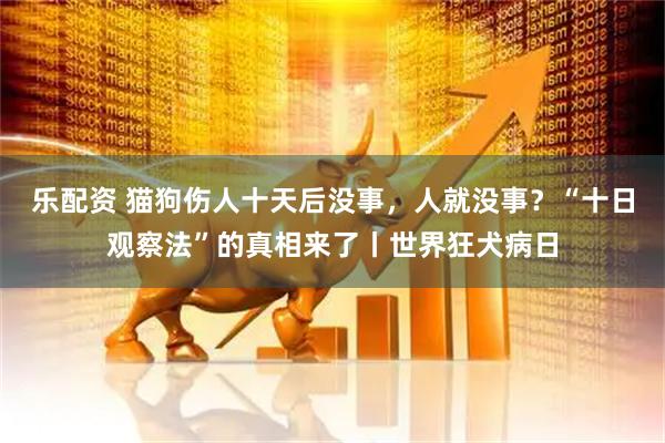 乐配资 猫狗伤人十天后没事，人就没事？“十日观察法”的真相来了丨世界狂犬病日