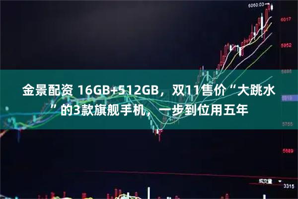 金景配资 16GB+512GB，双11售价“大跳水”的3款旗舰手机，一步到位用五年