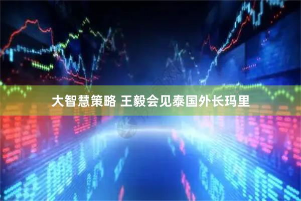 大智慧策略 王毅会见泰国外长玛里